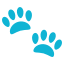 🐾